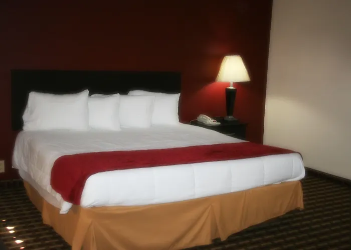 Motel 7 Vienna